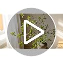 2PCS Faux Greenery Stems for Vase & Centerpieces - Flexible Artificial Branches
