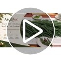 9FT Artificial Norfolk Pine Garland - Real Touch Holiday Decor, Indoor & Outdoor