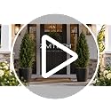 Artificial Pine Plants 35 Inch Set with Stainless Steel Stakes - Realistic Outdoor Garden Decor