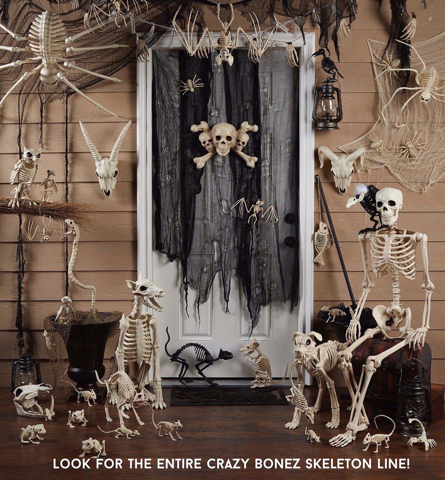 Crazy Bonez Skeleton Spider