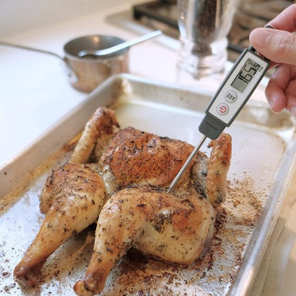 Lavatools PT09 Digital Thermometer - Super-Quick Cooking & Meat Probe, Splash Proof, 4.5" | °C/°F Toggle