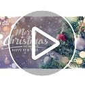 Christmas Balls Ornaments Set 12 Pcs White Flocked Decorations for Xmas Tree Holiday Wreath (Christmas Green & Gold)
