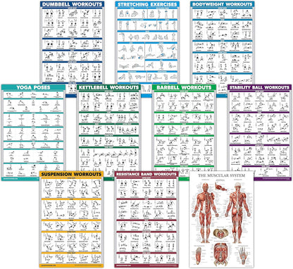 Skiennix Exercise Workout Poster Set - 10 Pack Laminated Fitness Charts | 18" x 24" Size