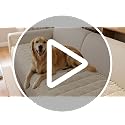 DecorUhome Non-Slip Plush Couch Cover for Dogs Beige 27.6x59 Inches