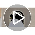 Black Cat U-Shaped Toilet Rug - Washable Bathroom Mat, 24x20 Inches