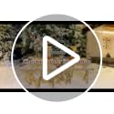 Outdoor Reindeer Family Christmas Decorations Set with 245 LED Lights - Gold