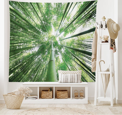 Ambesonne Forest Tapestry, Tropical Rain Forest Tall Trees in Exotic Style Nature Theme Image Sky from Woodland, Wide Wall Hanging for Bedroom Living Room Dorm, 60" X 40", Green