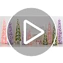 6FT Artificial Christmas Tree with Lights and Timer - Collapsible & Pre-Decorated