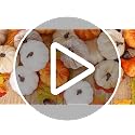 24 Pcs Rustic Fall Velvet Pumpkins Artificial Harvest Decor - Orange, Champagne, White & Khaki