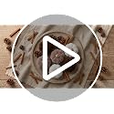 6Pcs Fall Pumpkin Decor Set - Small Velvet Flocked Resin Figurines, White & Brown