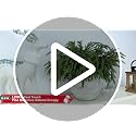Artificial Christmas Pine Branches 12 Pcs Realistic Drop Shapeable Greenery